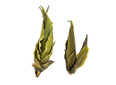 /files/products_selection/moychay_38731-2.png