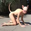 Яна