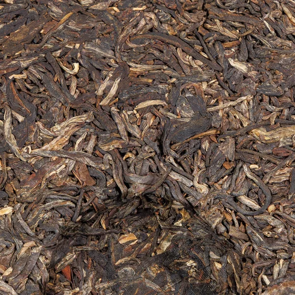 Шен Пуэр Мэнку Чунь Цзянь «Весенние побеги из Мэнку» 2015 год - 8