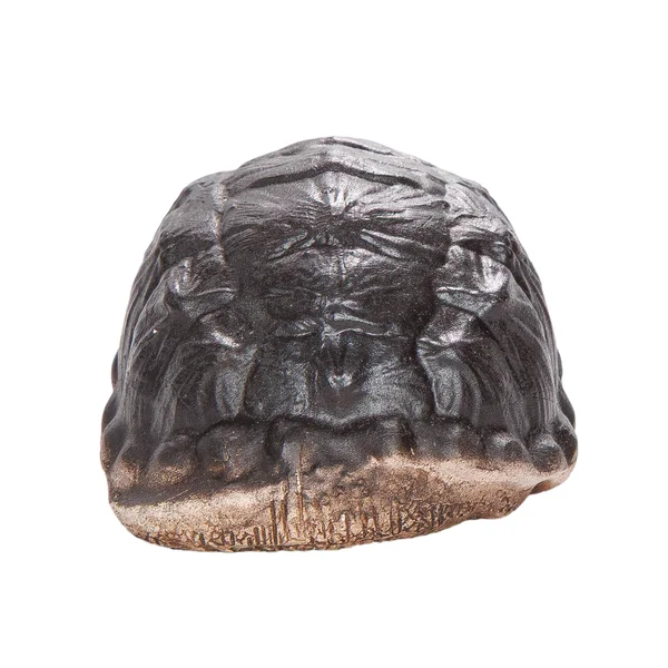 Чайная фигурка «Аллигаторная черепаха» - 2