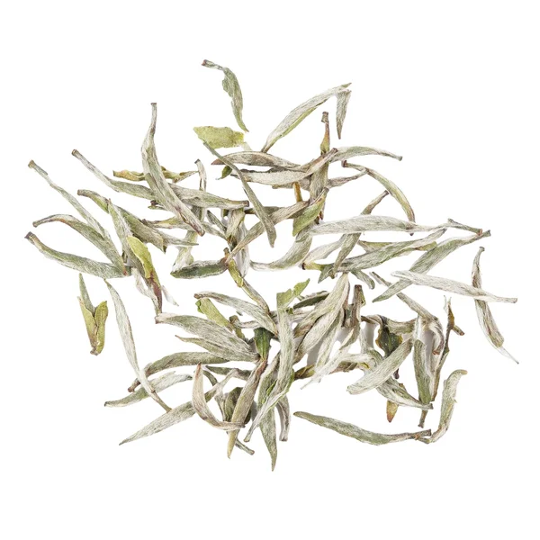 Королевский Белый Пион - 7