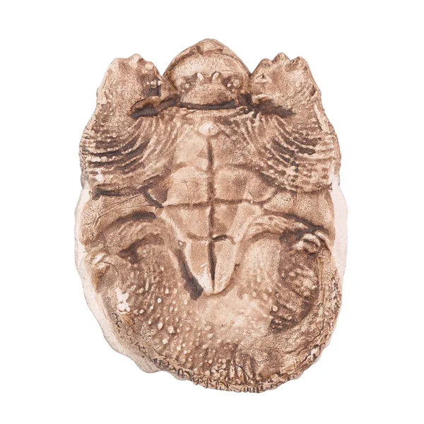 Чайная фигурка «Аллигаторная черепаха» - 8