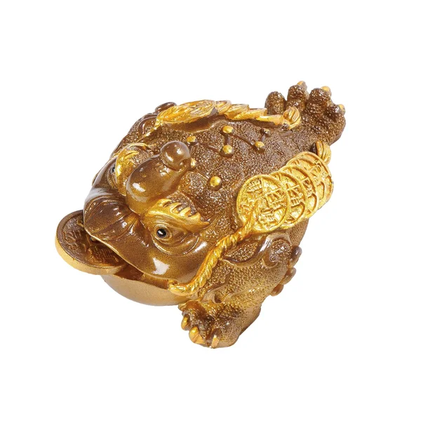 Трехлапая жаба №35, меняющая цвет (разные цвета) - 3