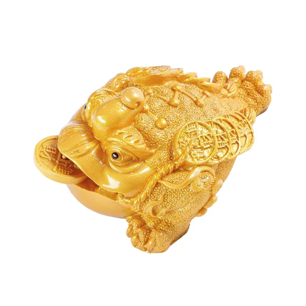 Трехлапая жаба №35, меняющая цвет (разные цвета) - 4