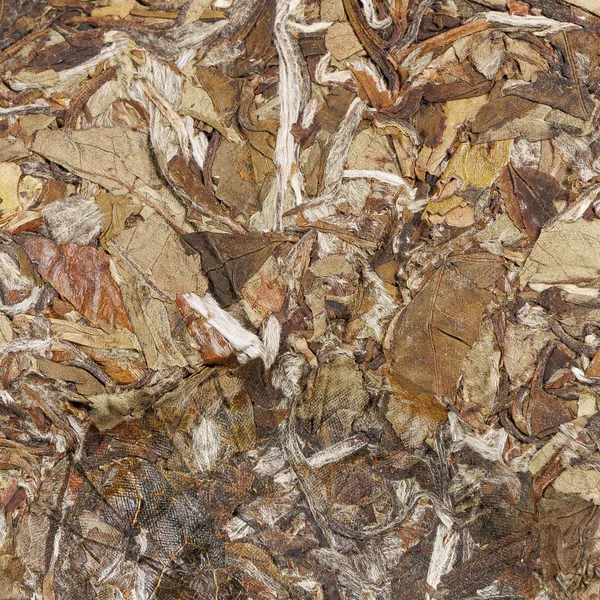 Белый Пион (Бай Му Дань) "Цветочный аромат" - 8