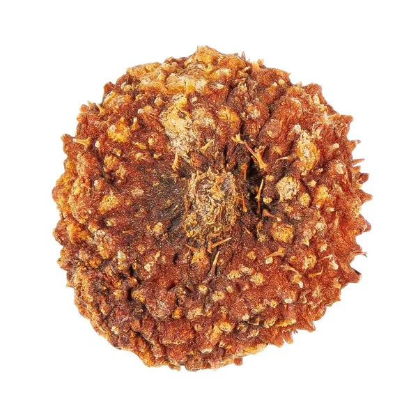 Чай червоний Чжен Шань Сяо Чжун з дикою опунцією - 4