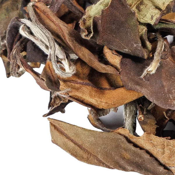 Мі Сян Лао Шоу Мей, 2015 - 5