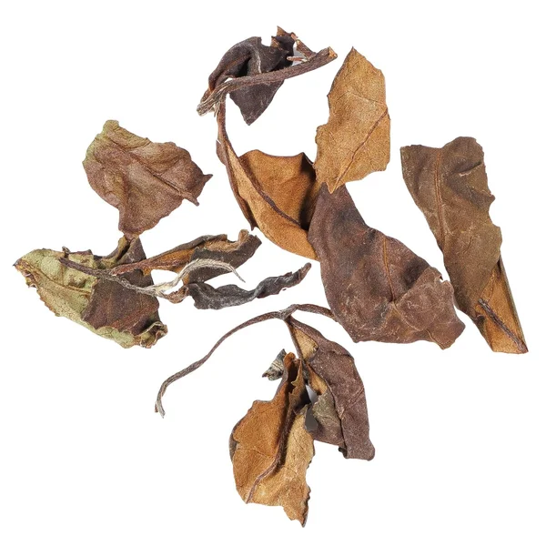 Мі Сян Лао Шоу Мей, 2015 - 7