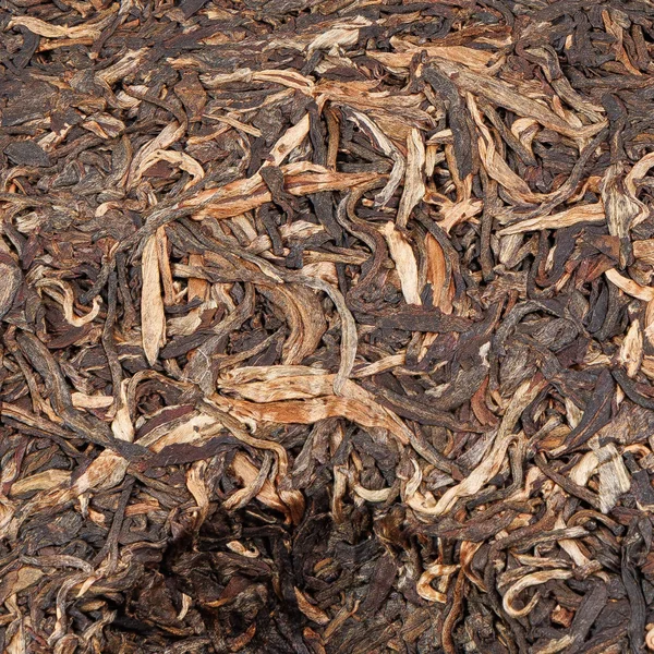 Менку Шентай "Шен с экосадов Менку", 2008 - 15