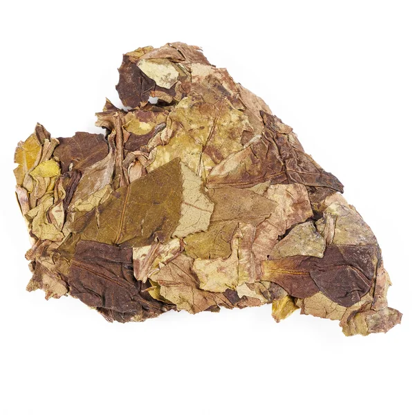 Органический белый чай Шоу Мэй - 6