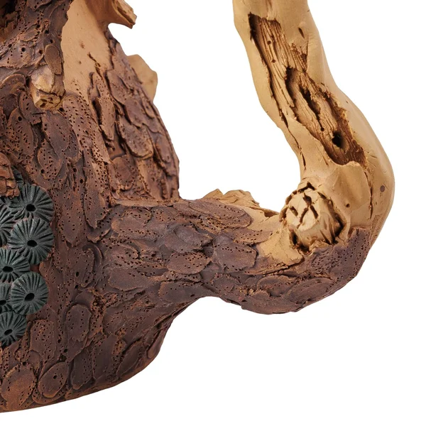 Чайник 190 мл "Білочка та горішок", ісинська глина, майстер Чень Дун Чжу - 13