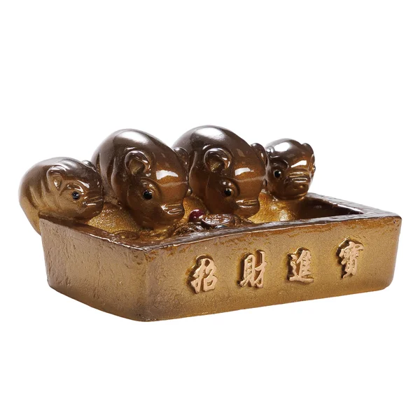 Золоті свинки, що змінюють колір - 1