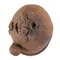 Фигурка "ЧафуКот", керамика Цзяньшуй, мастер Фэн Яо Чэнь - small image 5