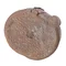 Фигурка "ШуКот", керамика Цзяньшуй, мастер Фэн Яо Чэнь - small image 10