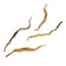 Цзінь Си Дянь Хун «Золотий шовк» - small image 5