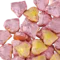 Смола Любао "Троянда" - small image 5