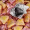 Смола Любао "Троянда" - small image 6