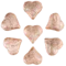 Смола "Кокосовый эликсир красоты" - small image 1