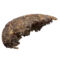 Шу пуэр «Король леса» (Юннань Иу), 100 г - small image 11