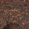 Шу пуер Менхай Гунтін - small image 7