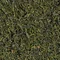Молодий Кудін (Шуй Сю) - small image 9