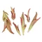 Пурпурные Почки - small image 7