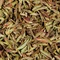 Пурпурные Почки - small image 12