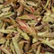Пурпурные Почки - small image 4