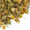 Ромашка китайская - small image 6