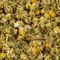 Ромашка китайская - small image 7