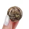 Біла Перлина - small image 13