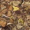 Белый Чай Пуэр «Мудрый Монах» 357 грамм - small image 8