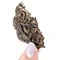 Шэн пуэр "Лунная печать" 100 г - small image 10