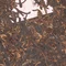 Шу пуер Дракон Панлун - small image 5