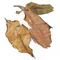 ПАША ’25 - small image 4