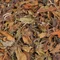 ПАША ’25 - small image 5