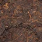 Вартовий буддійського храму - small image 10
