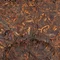 Шу пуер "Лао Чень Юнь" 357 грам 2014 рік - small image 8