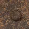 Биндао Гунтин 2012 год - small image 11
