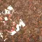 Шу Пуэр Чжун Ча «Красная печать» (CNNP) 2008 год - small image 5