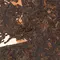 Ча Ван Гун Тин (Владыка чайного дворца) - small image 4