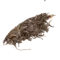 Бу Лан - small image 13