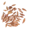 Червоні Бруньки Дикорослих Чайних Дерев - small image 2