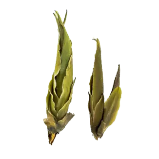 Я Бао