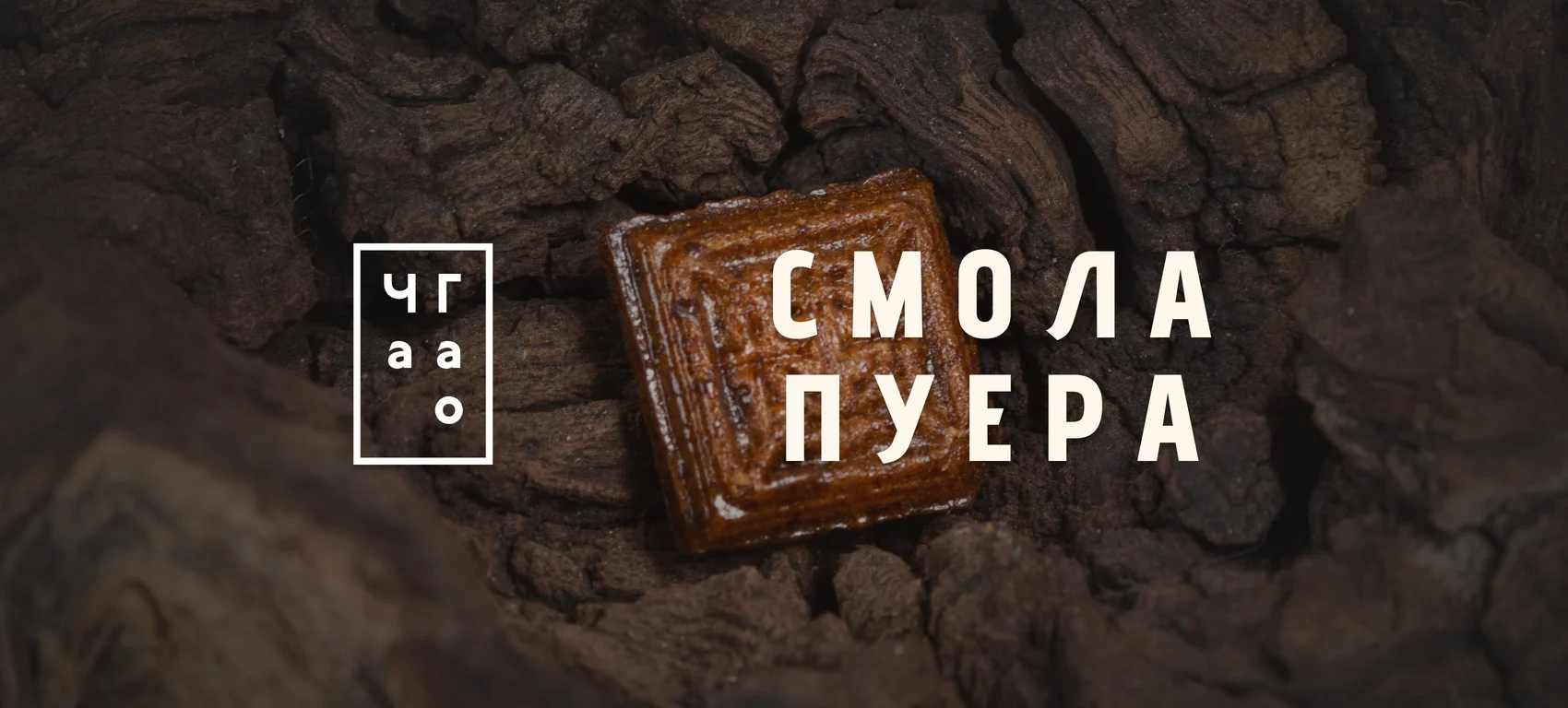 Смола Пуэра (Ча Гао)