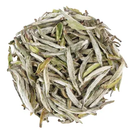 Королевский Белый Пион