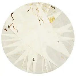 Шен Пуэр Менку Жун Ши, 2007 год