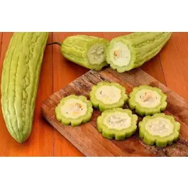 Китайская горькая тыква (Ку Гуа)