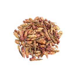 Гу Шу Цзи Я Бао
