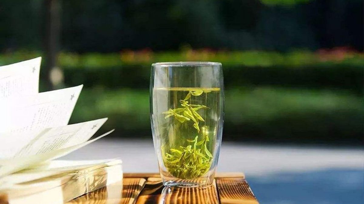 зеленый чай при беременности